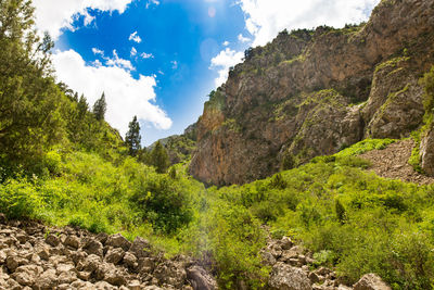 Panoramic view of landscape against sky