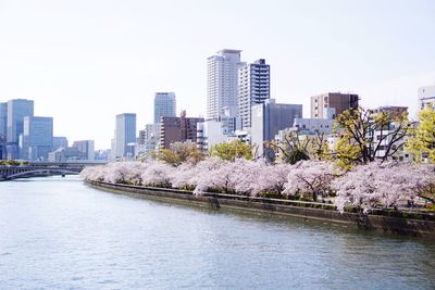 City by river and buildings against sky