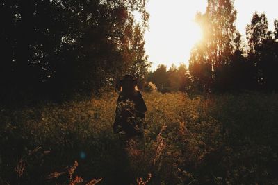 Sun shining through trees on field