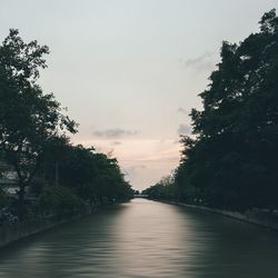 Scenic view of trees along river