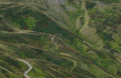 High angle view of road on field
