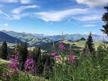 Scenic view of mountains against cloudy sky