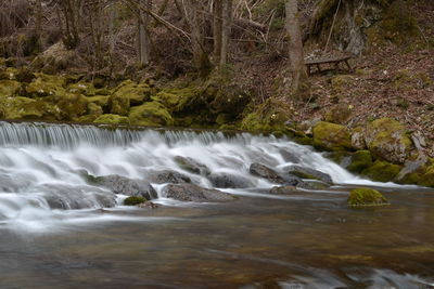 River flowing through forest