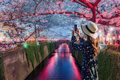 Young tourists admire the beauty of cherry blossoms in tokyo at the meguro river, japan.