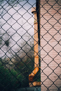 Close-up of chainlink fence