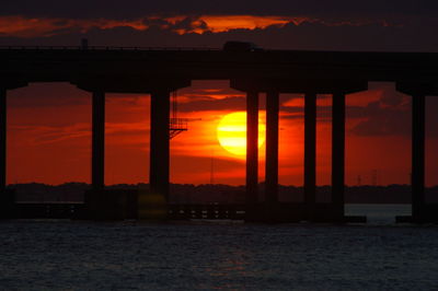 Silhouette of cranes at sunset