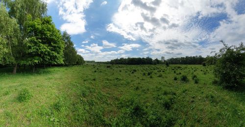 Scenic view of field against sky