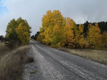 Road amidst trees against sky during autumn