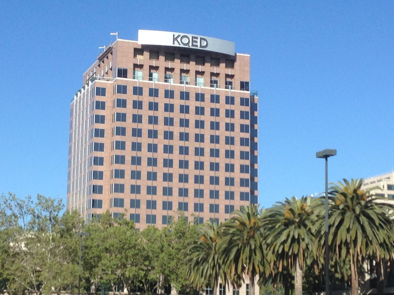 LOW ANGLE VIEW OF PALM TREES AGAINST BLUE SKY