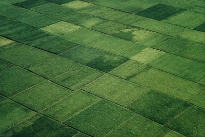 Full frame shot of agricultural field