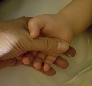 Cropped image of hands