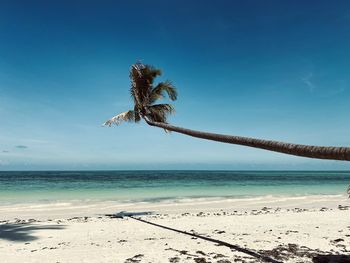 Scenic view of sea against blue sky