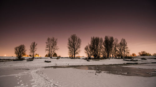 Trees on snow covered landscape against sky