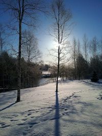 Empty road along bare trees