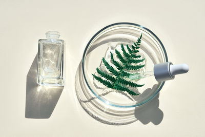 Flat lay of cosmetics serum and and laboratory glassware with fresh leaves of fern.