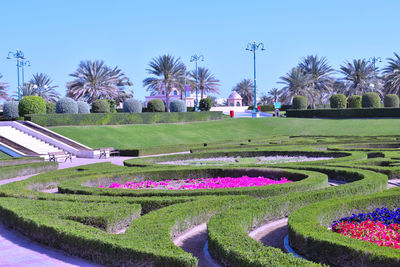 View of garden in park