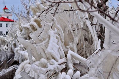 Close-up of snow