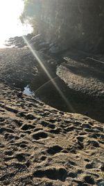 High angle view of sea on sunny day