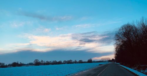 Road by trees against sky during winter