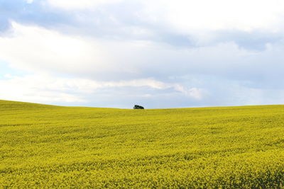 Scenic view of field against cloudy sky