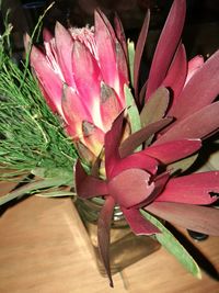 Close-up of pink flowering plant
