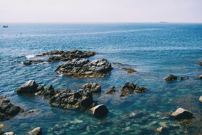 Seascape with views of a small rocky cove surrounded by a grove on a sunny day