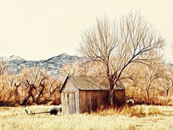 Bare trees on field by house against clear sky