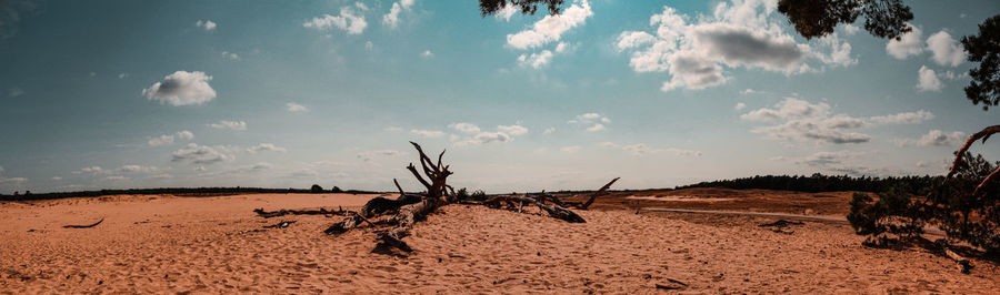 Panorama scenic view of desert against sky