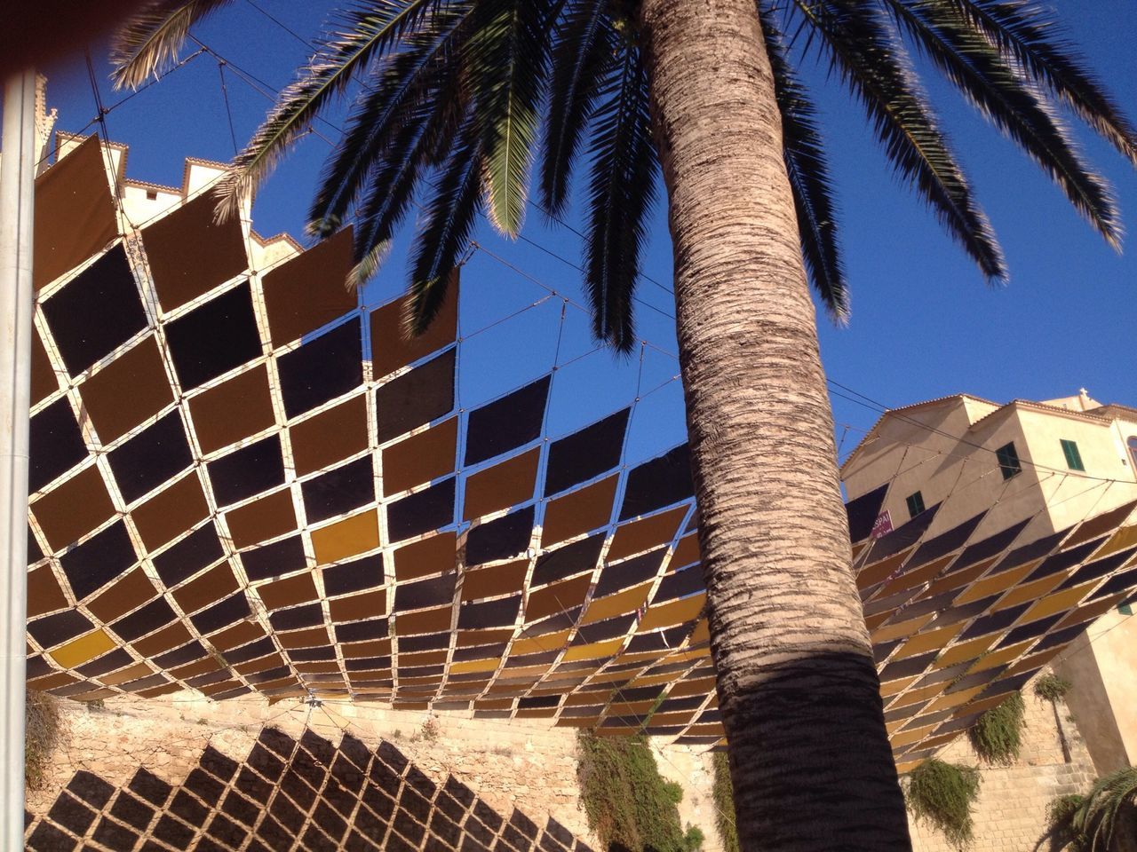 architecture, palm tree, built structure, building exterior, low angle view, tree, sky, building, sunlight, growth, blue, day, clear sky, outdoors, city, no people, wall - building feature, auto post production filter, tall - high, shadow