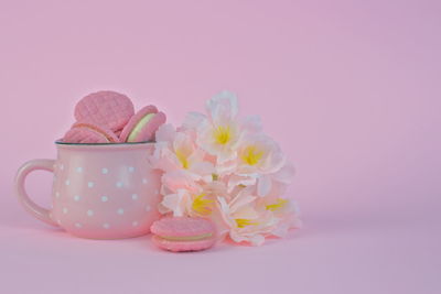 Close-up of pink flower on table against white background