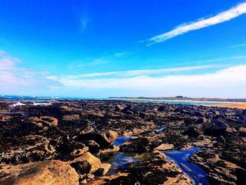 Scenic view of beach against blue sky