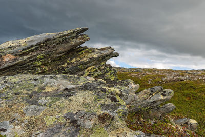 Pointy rock formations with lichens in a wild landscape