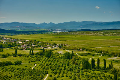 Scenic view of agricultural field against sky