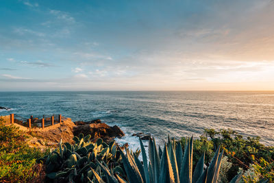 Scenic view of sea against sky during sunset