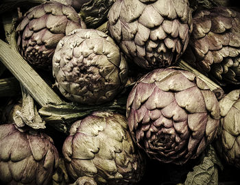 High angle view of vegetables for sale at market stall