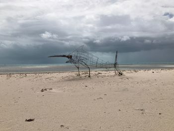 Birds on beach against sky