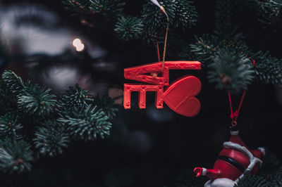 Close-up of christmas decorations hanging on tree