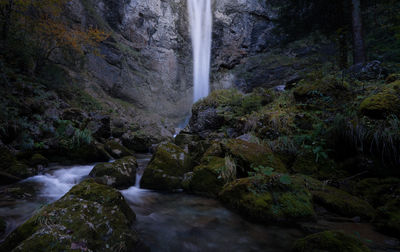 Scenic view of waterfall in forest