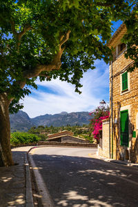 Road by trees and buildings against sky