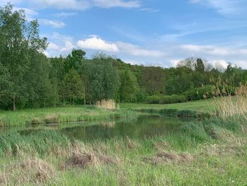 Scenic view of lake against sky