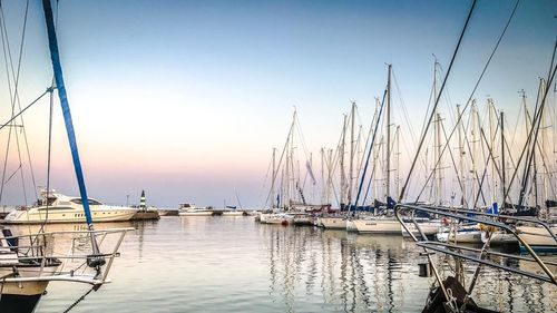 Sailboats in marina at sunset