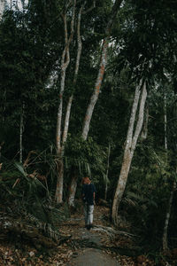 Rear view of man standing by trees in forest