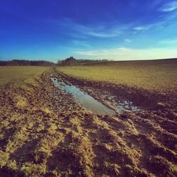 Scenic view of field against clear sky