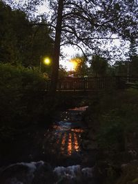 Illuminated trees in forest against sky at sunset