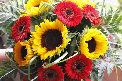 Close-up of sunflowers