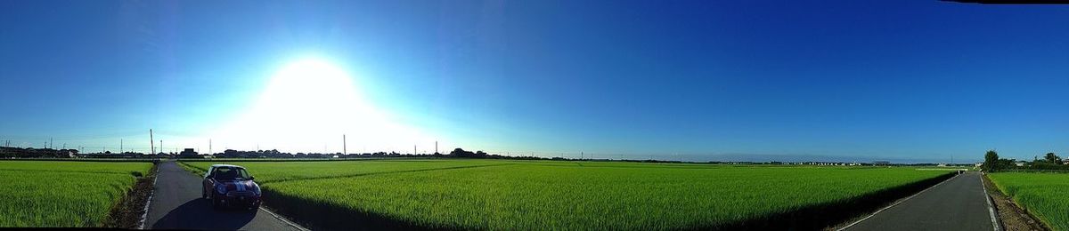 Road passing through grassy field