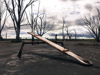 Bare tree on wood against sky