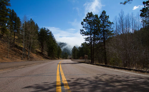 Road amidst trees against the sky
