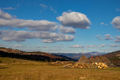 Scenic view of field against sky