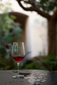 Close-up of wineglass on table